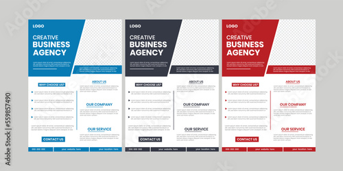 Business agency graphic flyer elements. Promotional commercial, report, mag background, project, vertical flier collection