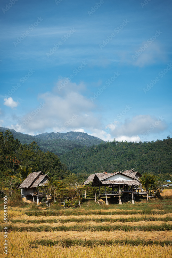 Wooden shelters on rice field, Northern Thailand landscape