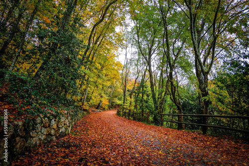 Autumn vibe