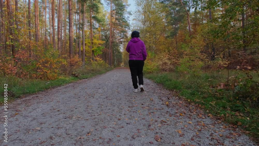 Rear view of a woman travels through an autumn forest Rear view of a woman travels through an autumn forest