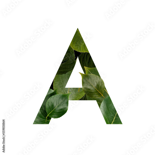 transparent natural green leaf alphabet letter a