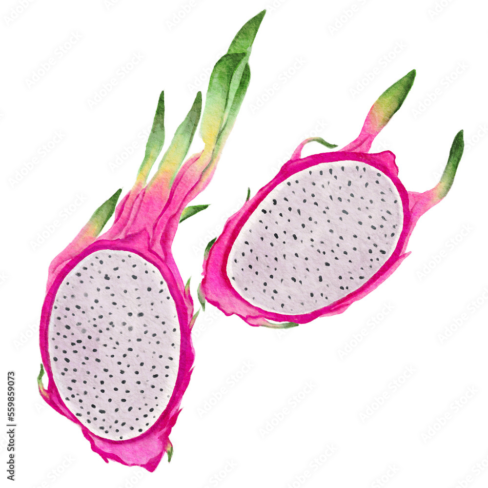 Watercolor Dragon fruit Transparent background Png Watercolor Dragon fruit Transparent background Png