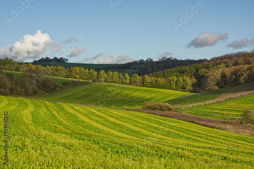 Farmland on South Downs, Sussex, England