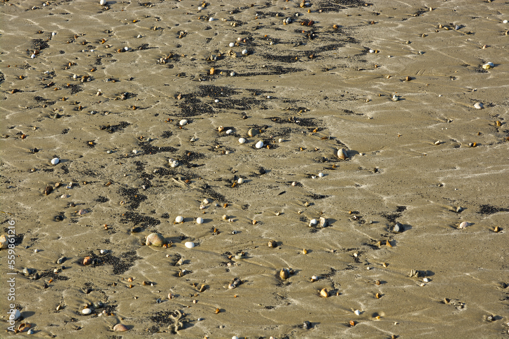 Sandy beach with pebbles Sandy beach with pebbles