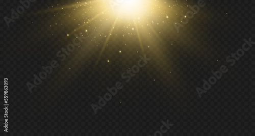 Light effects, glare, glitter, explosion, golden light, Vector illustration. shining golden stars.