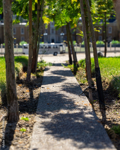 path in the park