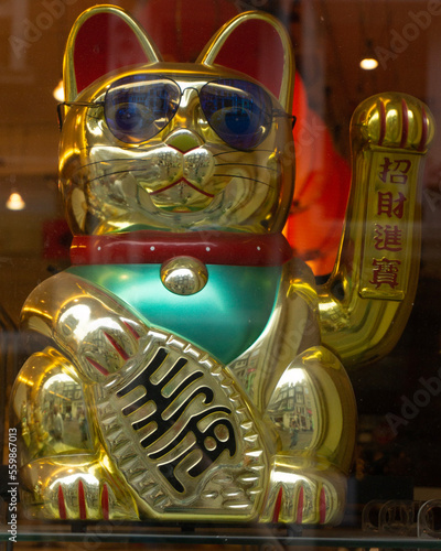chinese new year cat