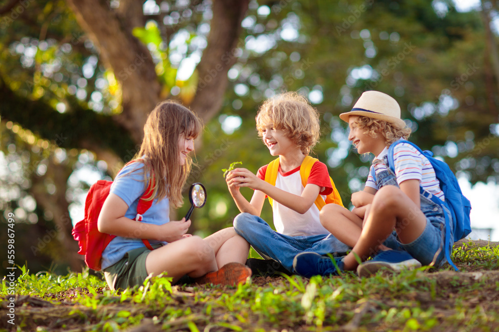 Kids explore nature. Children hike in sunny park. - obrazy, fototapety, plakaty 