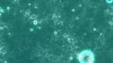 3d animation of moving and floating bubbles on a turquoise background. Motion design 4K bubbles