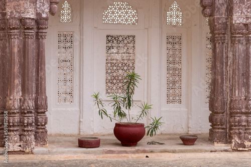Red pot with plant in Mehrangarh Fort, Jodhpur (India). © Ricardo Ferrando