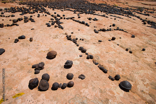 Cuadro en lienzo Moqui Balls or marbles collect on the surface of sandstone slick-rock in Southern Utah