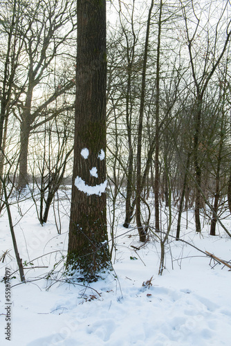 Winter snow man photo