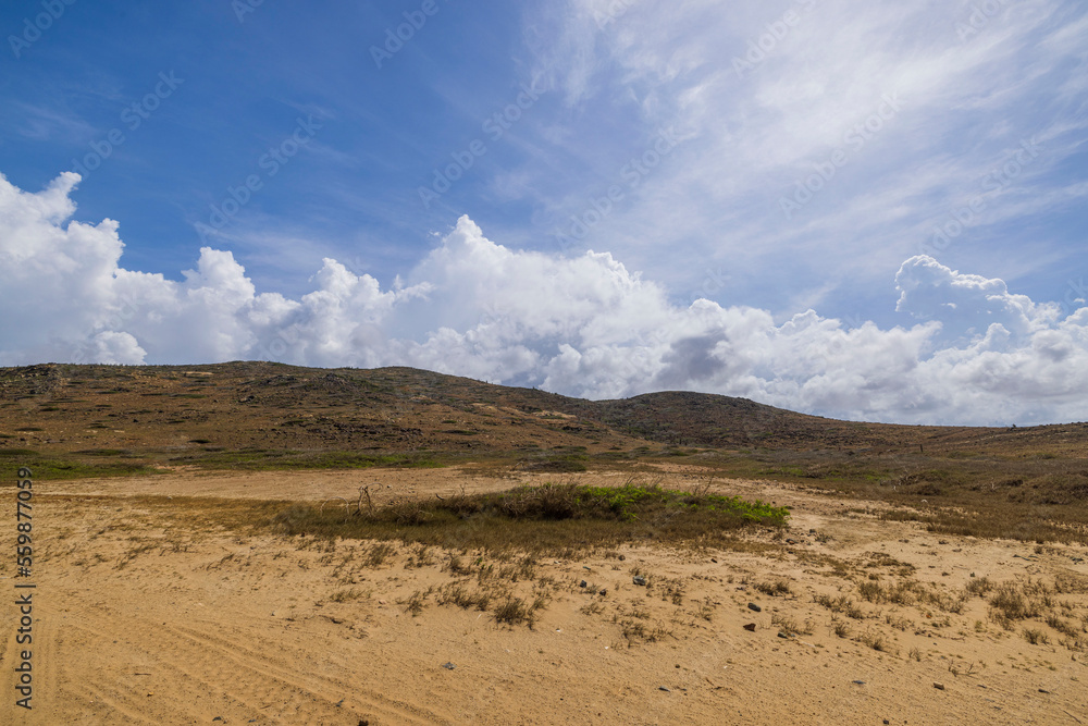 Gorgeous Aruba desert landscape view on blue sky with puffy white clouds background. 