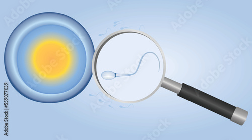 Fertility analysis concept. vector illustration photo