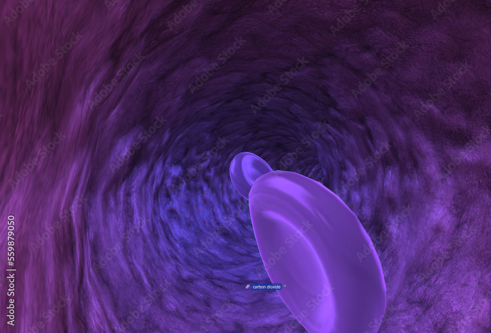 The Red Blood Cells Are A Very Important Part Of Your Blood Along With