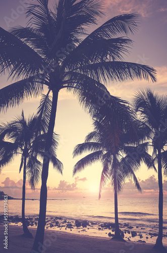 Tropical beach with silhouettes of coconut palm trees at sunset  color toning applied.