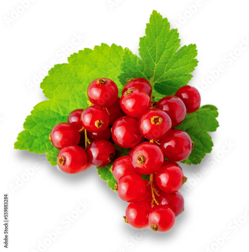 red currant berry fruits with green leaf isolated on white background