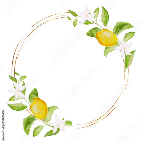 Hand-drawn watercolor painting lemon frame on white background. Vector illustration of green leaves, flowers, buds, and branches.