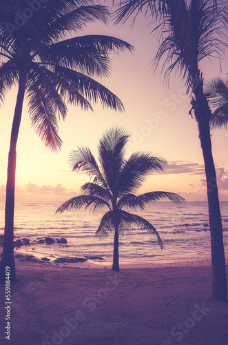 Tropical beach with silhouettes of coconut palm trees at sunset, color toning applied.