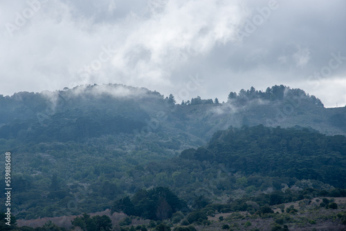 fog and storm rolling over forest on mountain