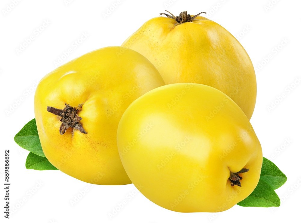 Three fresh quince fruits cut out