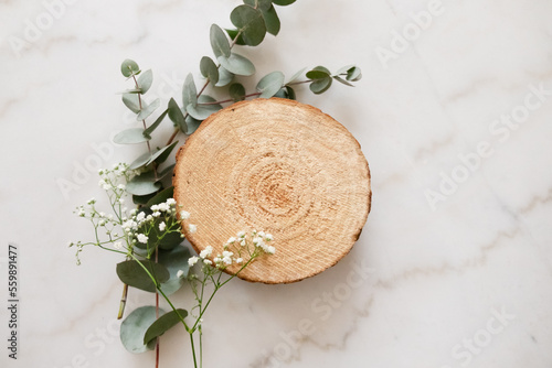 eucalyptus branches and little flowers with wooden disk on marble background flat lay frame