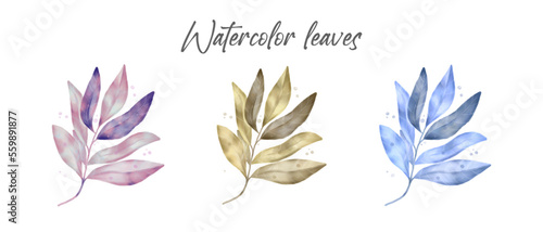 Set of watercolour leaves with texture and splatters. Wedding decorative elements for invitation card, poster, banner