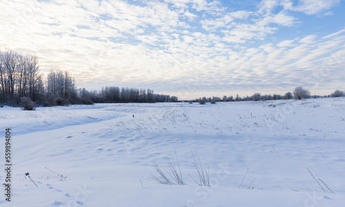 Winter landscape photo with snowy river bank and bare trees
