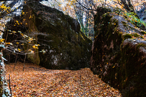 Autumnal landscape of Birtvisi canyon photo