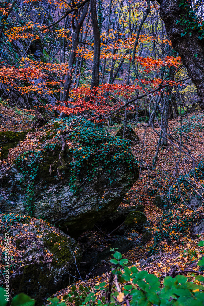 Autumnal landscape of Birtvisi canyon Autumnal landscape of Birtvisi canyon