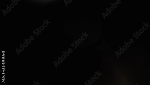 Wallpaper Mural Light permeates the frames on a black background. Studio lens flare. Natural lighting lamp rays Bokeh effect. For composing footage, video styling, transitions. White light. Torontodigital.ca