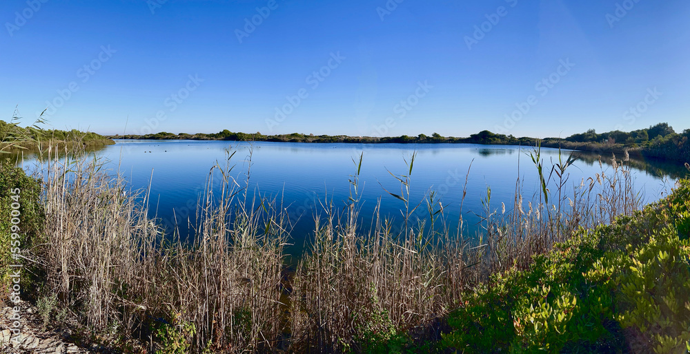fotografia de un lago en ladeesa del saler