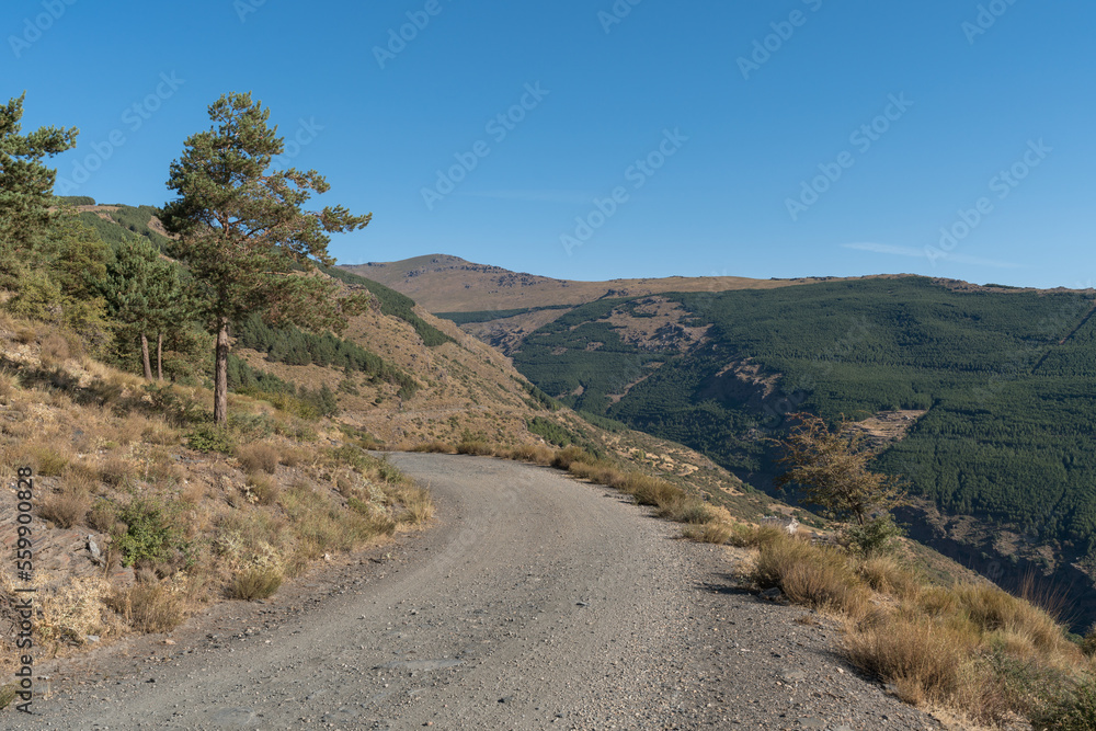 dirt road in Sierra Nevada in southern Spain