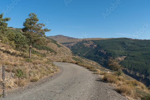 dirt road in Sierra Nevada in southern Spain