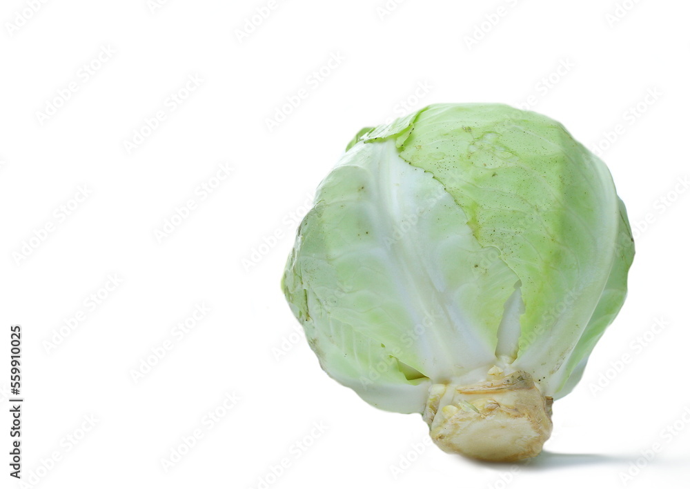 Fototapeta premium cabbage on table with white background no people stock image stock photo 