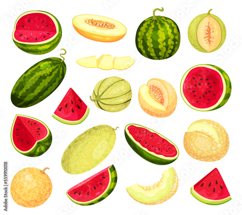 Fresh, juicy melon and watermelon whole and slices set. Tasty ripe fruit vector illustration