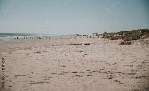 the beach at mustang island