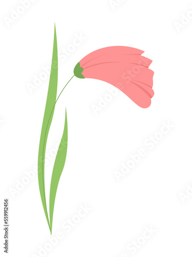 Vector illustration of flowers for the holiday. Decorative flat flower stylized in color. For design for the holidays. Illustrations for stickers, prints, advertisements, solo element