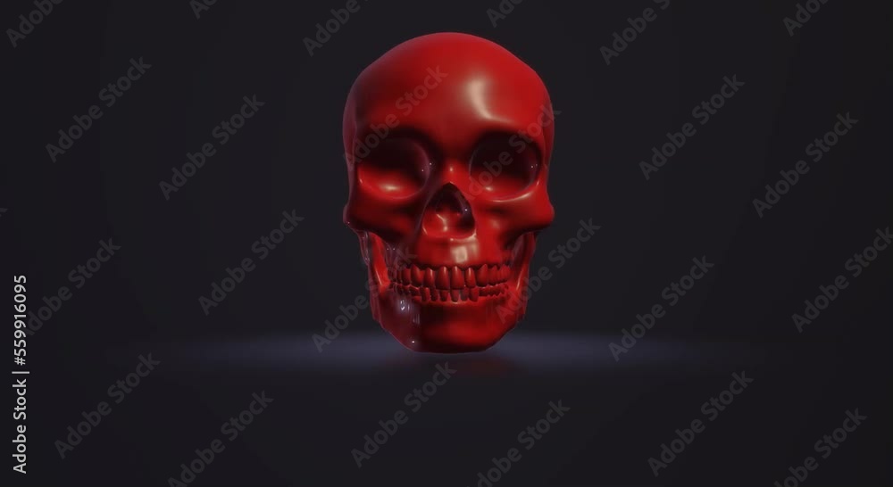 human body anatomy, skull skeleton human body anatomy, skull skeleton
