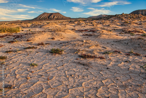 Desert landscape with a volcano in the background near Majanicho village, Fuerteventura island, Canary Island, Spain