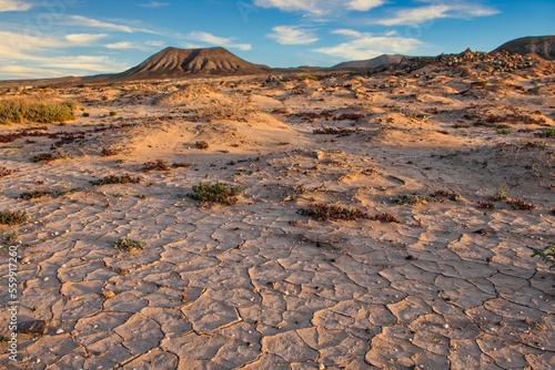 Desert landscape with a volcano in the background near Majanicho village, Fuerteventura island, Canary Island, Spain photo