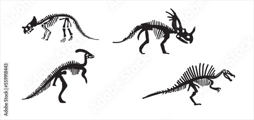 Dinosaur skeleton set diplodocus, triceratops, t-rex, stegosaurus, parasaurolophus etc.