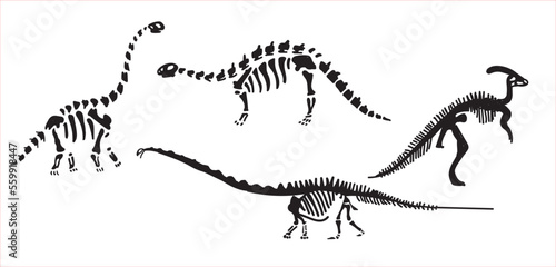 Dinosaur skeleton set diplodocus, triceratops, t-rex, stegosaurus, parasaurolophus etc.