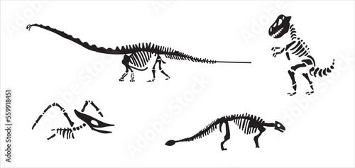 Dinosaur skeleton set diplodocus, triceratops, t-rex, stegosaurus, parasaurolophus etc.