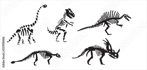 Dinosaur skeleton set diplodocus, triceratops, t-rex, stegosaurus, parasaurolophus etc.