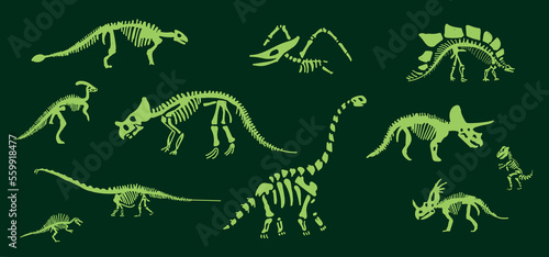 Dinosaur skeleton set diplodocus, triceratops, t-rex, stegosaurus, parasaurolophus etc.
