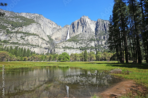 Reflection in Cooks Meadow - Yosemite NP, California