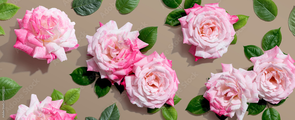 Pink roses with green leaves overhead view - flat lay Pink roses with green leaves overhead view - flat lay