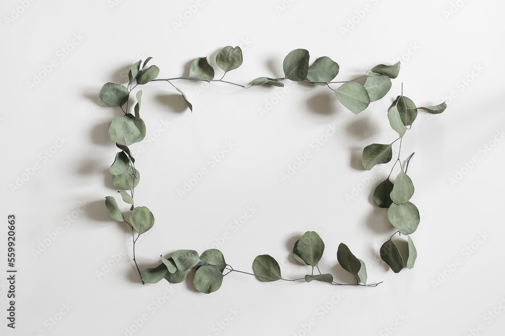 Minimal floral frame made of dry eucalyptus tree leaves and branches. Green rectangular wreath isolated on white table background. Natural composition, decor. Flat lay, top view. No people. Web banner - obrazy, fototapety, plakaty 