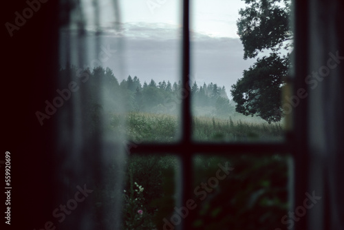 Fog rolling over a wild meadow in summer evening viewed through a window with lace curtains